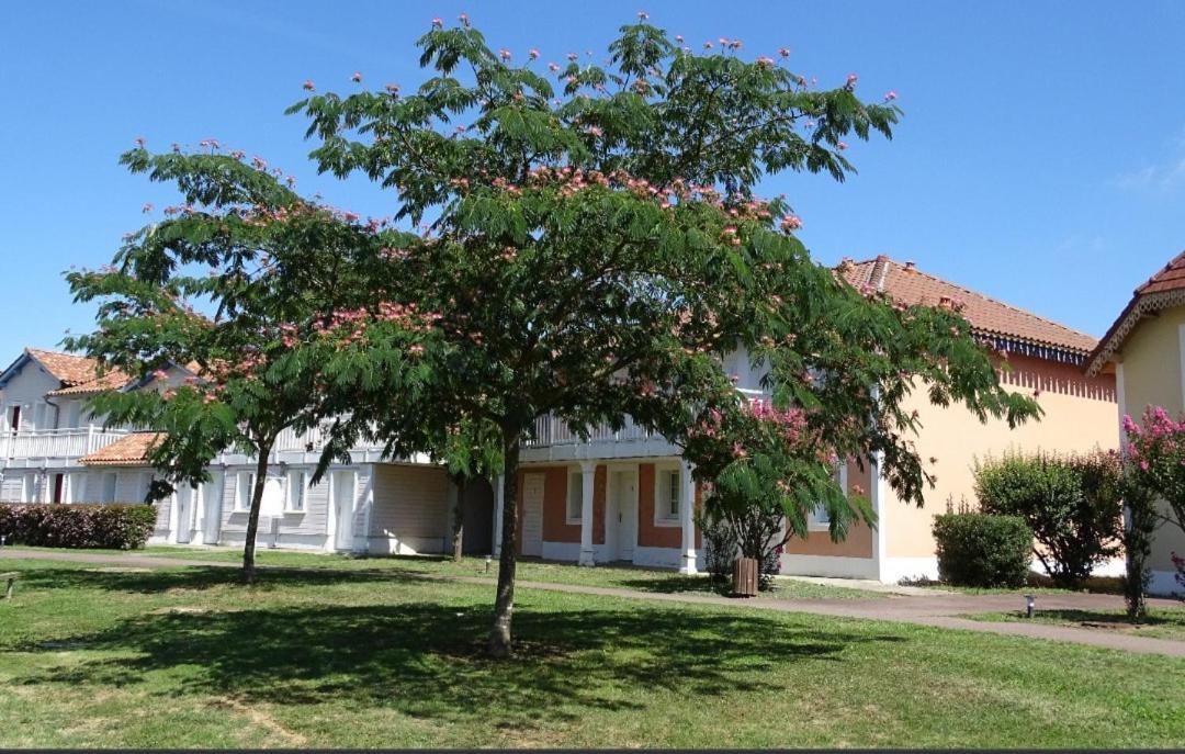 Appartement Au Calme Face Au Lac Marciac Zewnętrze zdjęcie